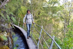 09_pupu_hydro_walkway