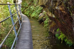 10_pupu_hydro_walkway
