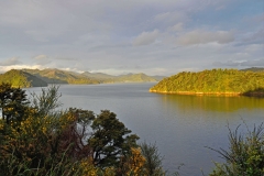 01_queen_charlotte_drive