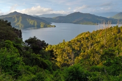 02_queen_charlotte_drive