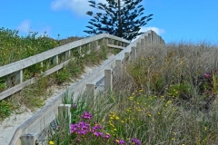strand_ruakaka_2