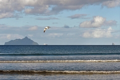 strand_ruakaka_8