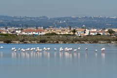 San_Pedro_del_Pinatar_06