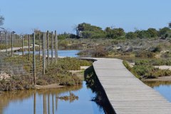 San_Pedro_del_Pinatar_07