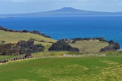 blick_auf-rangitoto_island