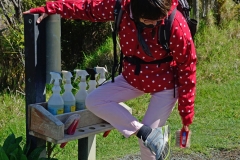 shakespear_regionalpark_1