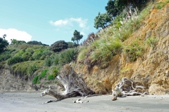 shakespear_regionalpark_4