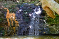 shakespear_regionalpark_7