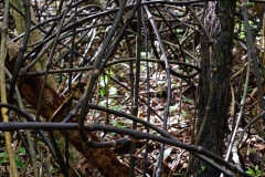 shakespear_regionalpark_9