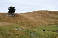 southern_hawkes_bay_03