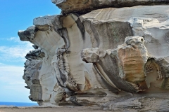 bondi_to_coogee_coastel_walk_01