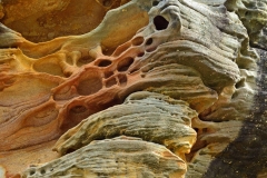 bondi_to_coogee_coastel_walk_03