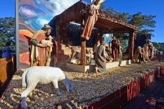 sydney_weihnachten_01