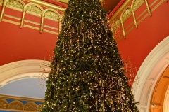 sydney_weihnachten_10