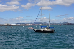 tauranga_2
