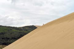 te_paki_sandduene_4