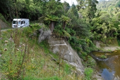 te_urewera_np_02