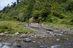 te_urewera_np_06