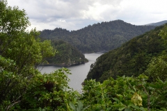 te_urewera_np_10