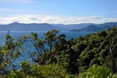 te_urewera_np_15