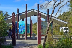 01_te_waikoropupu_springs