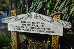 02_te_waikoropupu_springs