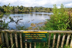 07_te_waikoropupu_springs