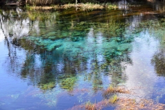 08_te_waikoropupu_springs