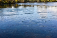 09_te_waikoropupu_springs