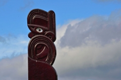 10_te_waikoropupu_springs