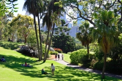 royel_botanic_garden_04