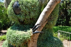 royel_botanic_garden_07