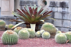 royel_botanic_garden_10