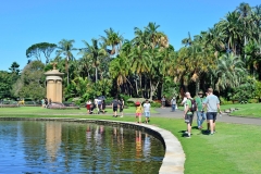 royel_botanic_garden_14