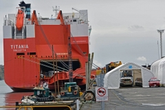 womo_rollt_von_titania