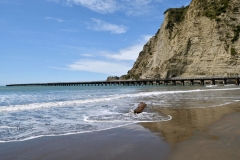 tolaga_bay_7