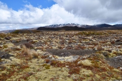 tongariro_np_07