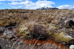 tongariro_np_16