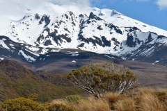 tongariro_np_19
