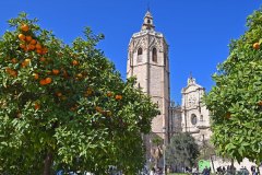 Catedral_Metropolitana_01