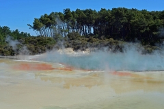 wai-o-tapu_01