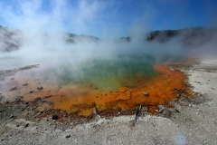 wai-o-tapu_04