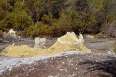 wai-o-tapu_12