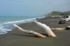 whakamahi_02