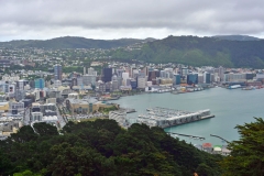 wellington_01