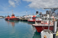 wellington_06