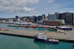 wellington_12