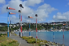 wellington_26