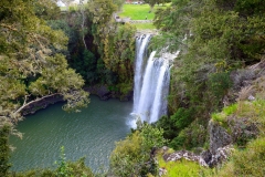 whangarei_falls_1