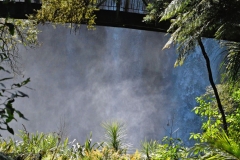 whangarei_falls_2